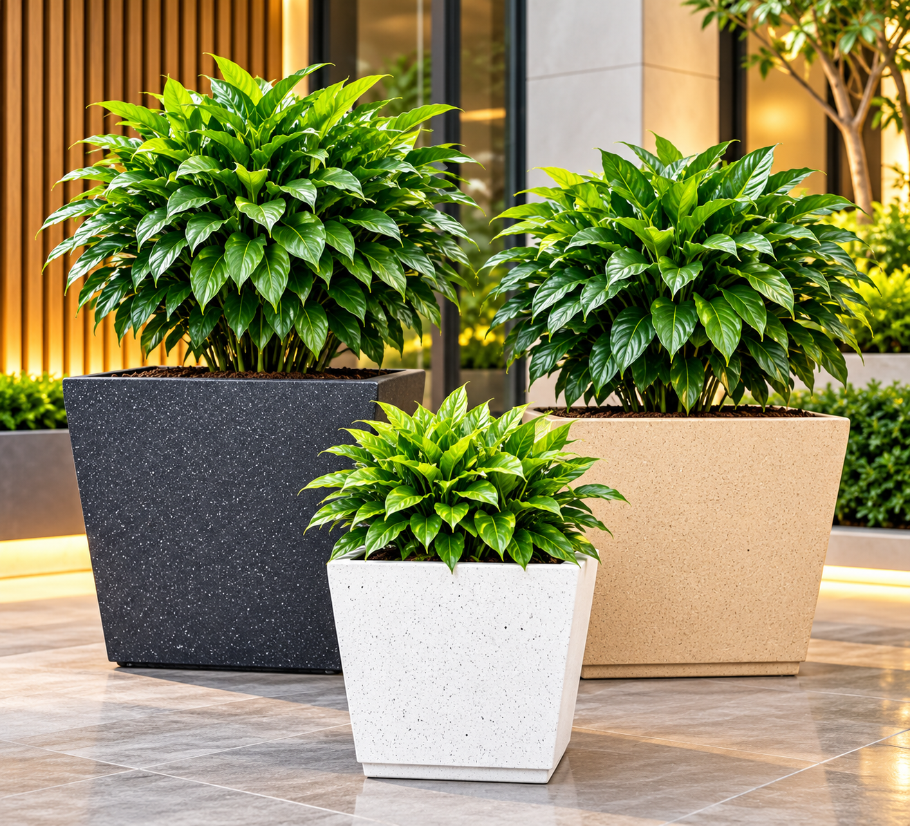 Modern Terrace Planters with Lush Greenery — Sugandha Farms & Nursery